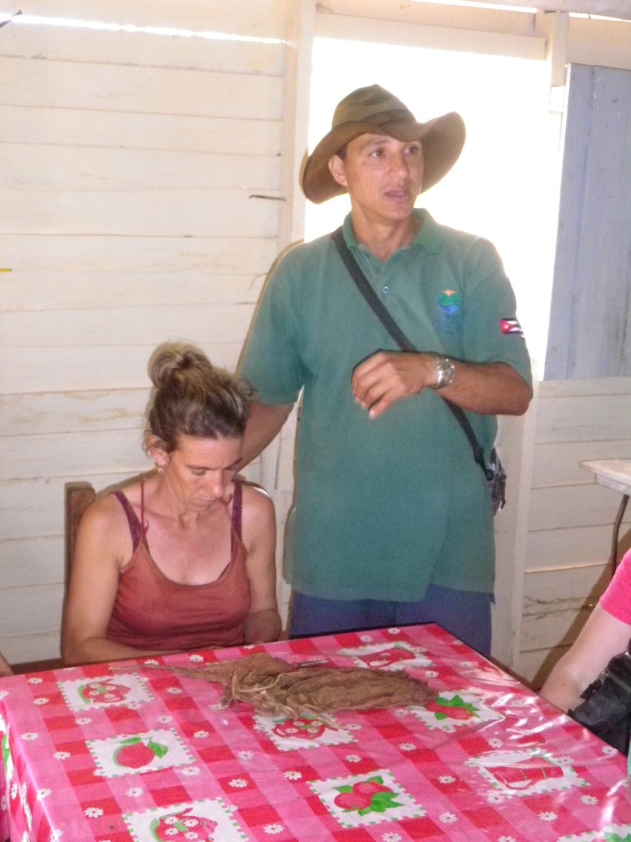 Tobacco Farm23.jpg